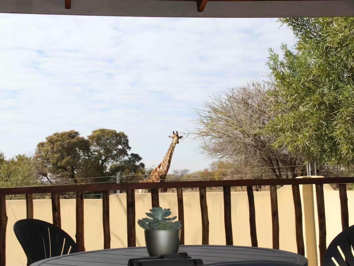 Villa 46 Welgevonden In Dinokeng