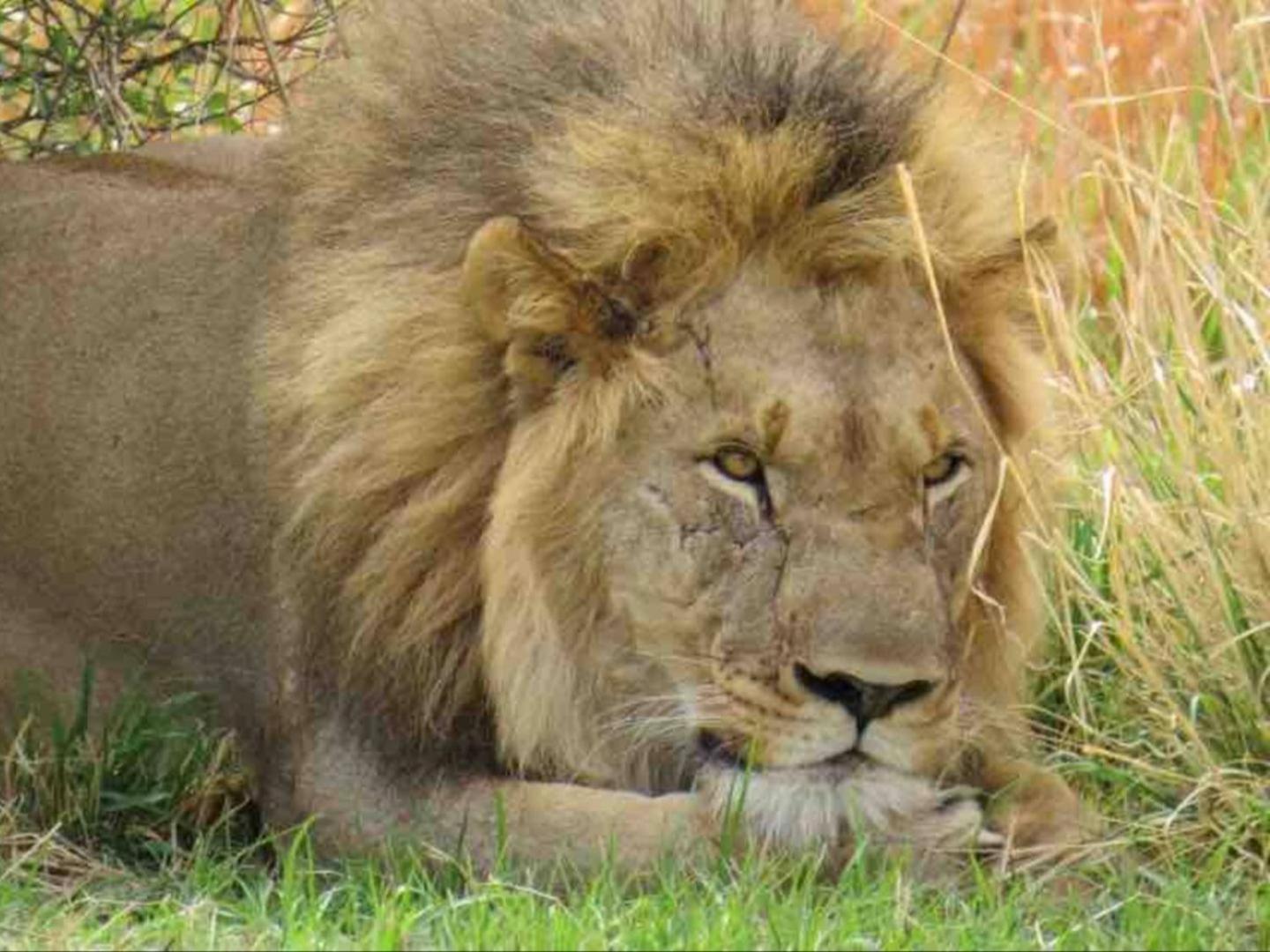 46 Welgevonden In Dinokeng