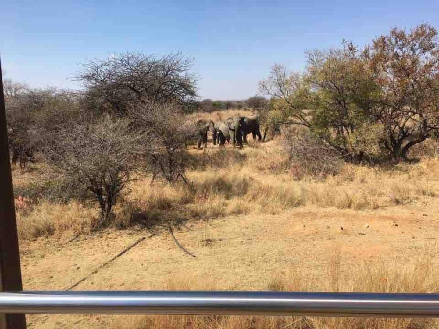 46 Welgevonden In Dinokeng